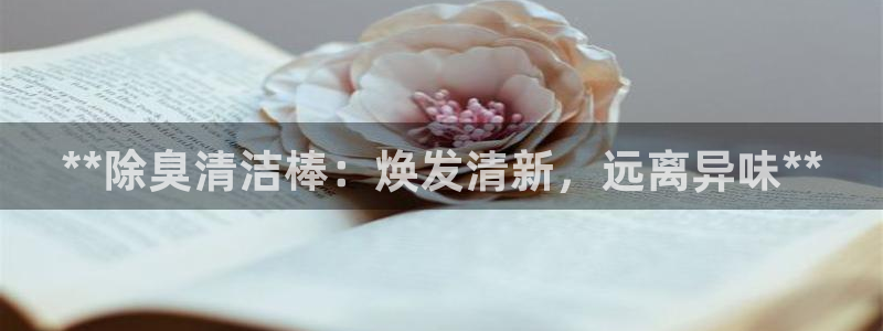 z6尊龙z6