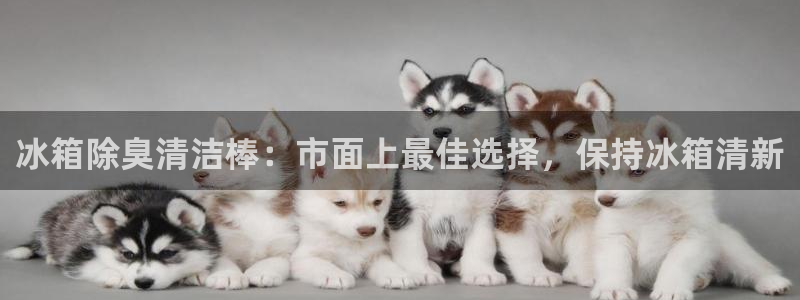 尊龙人生就是博l