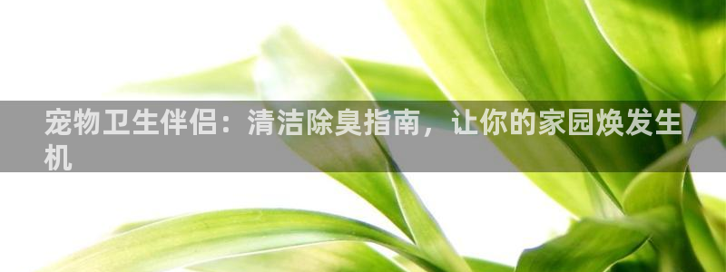 尊龙现金娱乐 下载