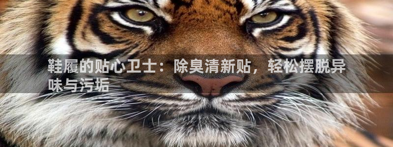 尊龙d88官网确来就送38
