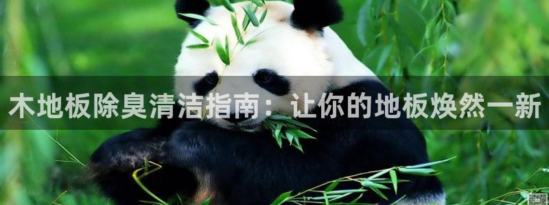 尊龙ag旗舰厅官网官方入口