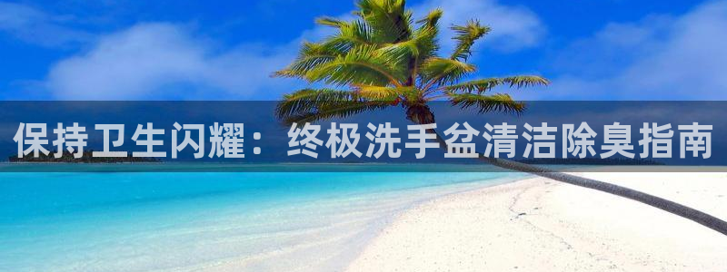 尊龙500价格：保持卫生闪耀：终极洗手盆清洁除臭指南
