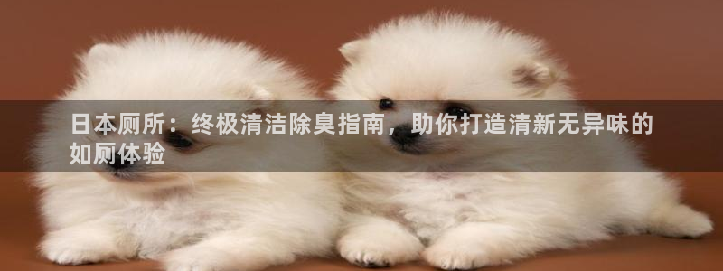 尊龙凯时为什么输了钱