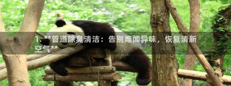 尊龙凯时旗舰厅官网