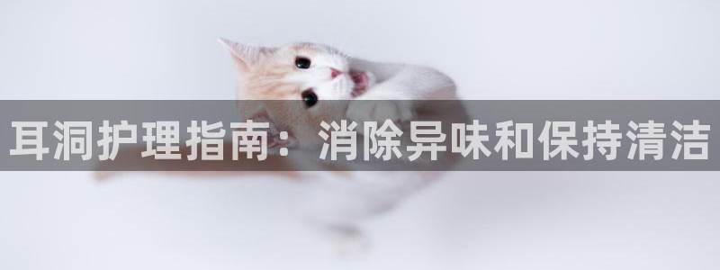 d88尊龙z6