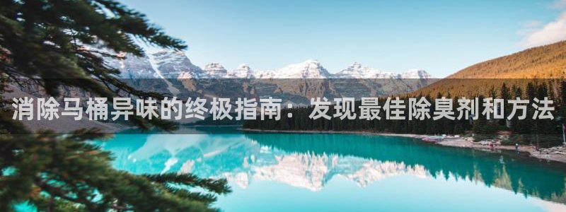 凯时国际app首页