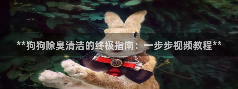 尊龙凯时可以提现吗