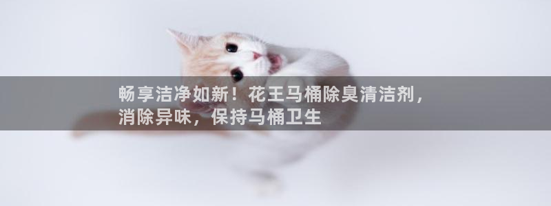 尊龙凯时网站赌愽是真的吗