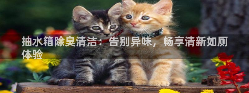 尊龙凯时下载人生就是博