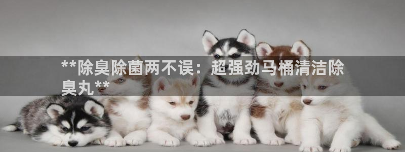 尊龙官网网页版