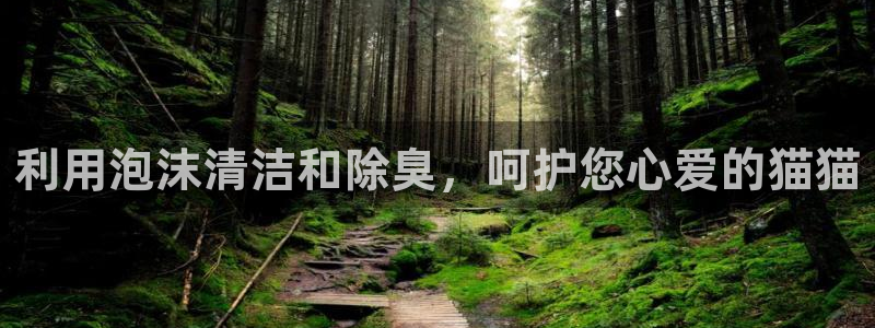 尊龙集团有限公司是国企吗