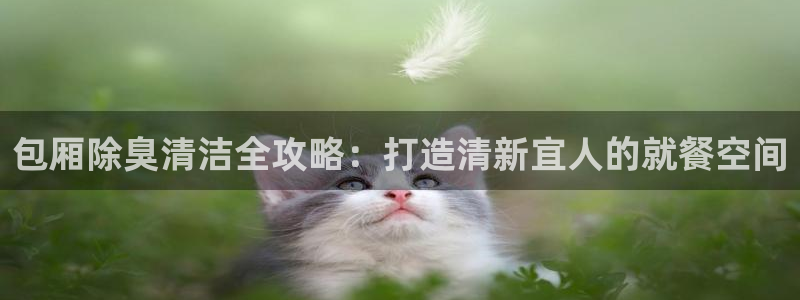 凯时登录界面：包厢除臭清洁全攻略：打造清新宜人的就餐空间