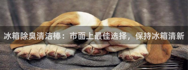 凯时尊龙官网网址