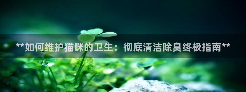 尊龙新版app首页