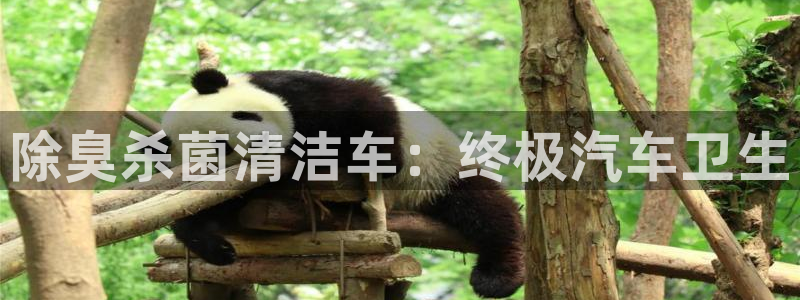 ag尊龙怎么样：除臭杀菌清洁车：终极汽车卫生