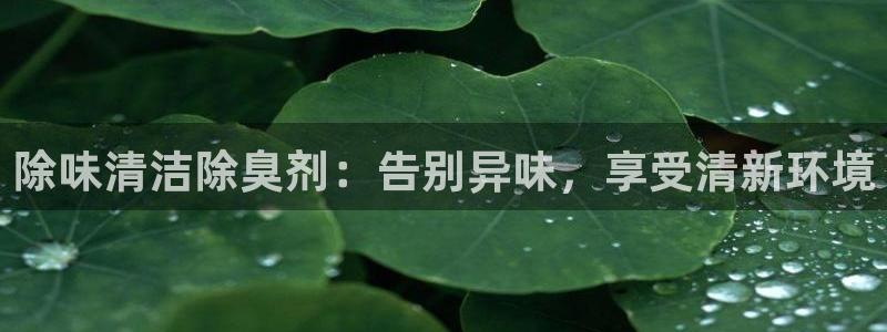 尊龙凯时-人生就是博中国官网最新：除味清洁除臭剂：告别异