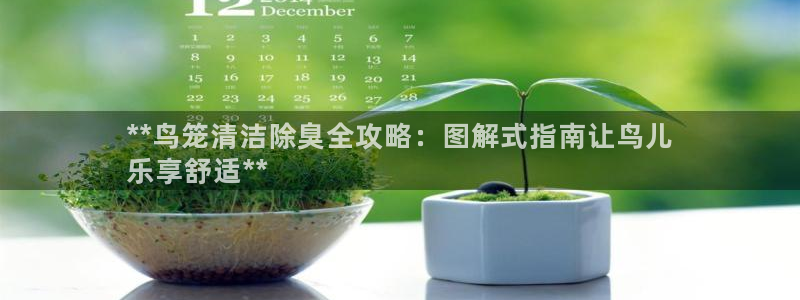 尊龙凯时存款多久到账