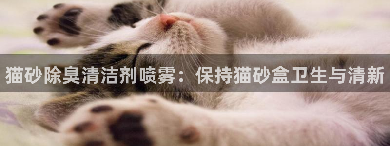 尊龙凯时人生就是搏·(中国)官网