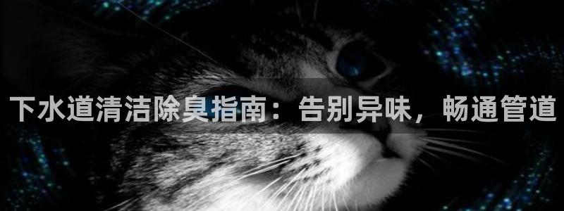 尊龙凯时人生就是博·(中国)官网最新