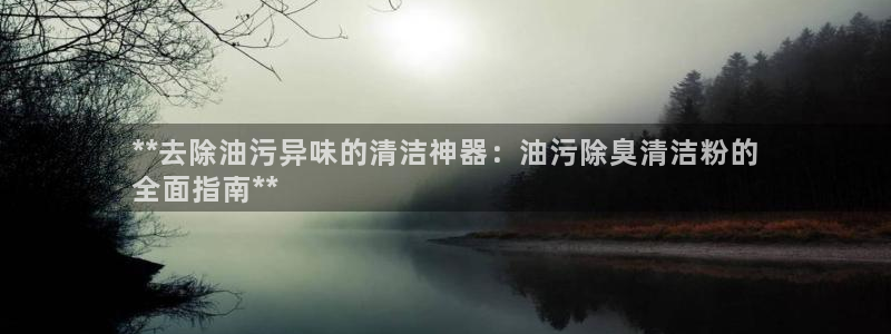 凯时平台登录：**去除油污异味的清洁神器：油污除臭清洁粉
