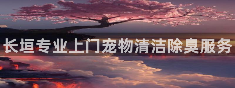 尊龙eight is enough：长垣专业上门宠物清洁