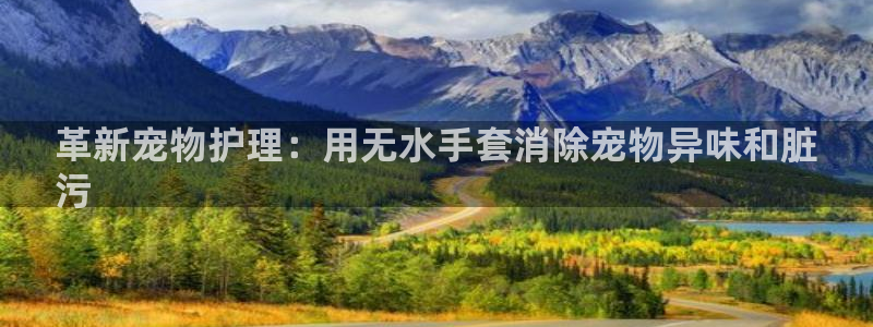 ag旗舰平台尊龙代言：革新宠物护理：用无水手套消除宠物异