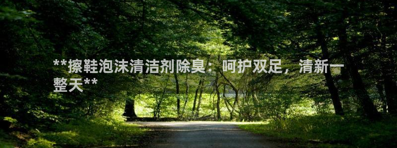 尊龙凯时官网版登录：**擦鞋泡沫清洁剂除臭：呵护双足，清
