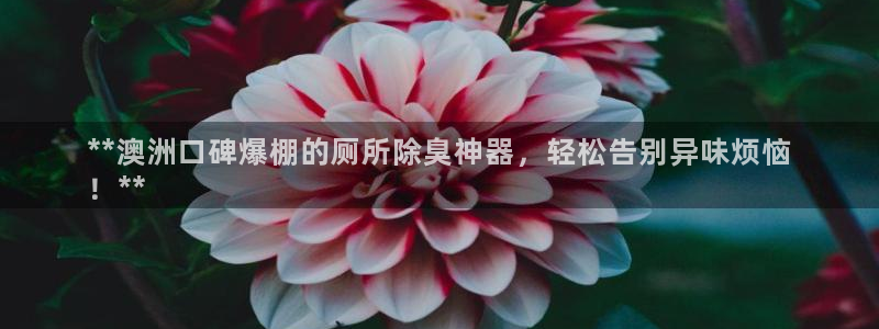 z6尊龙官网平台下载