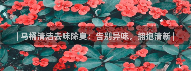 尊龙凯时能提现吗