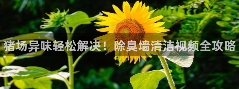 尊龙凯时为什么不封