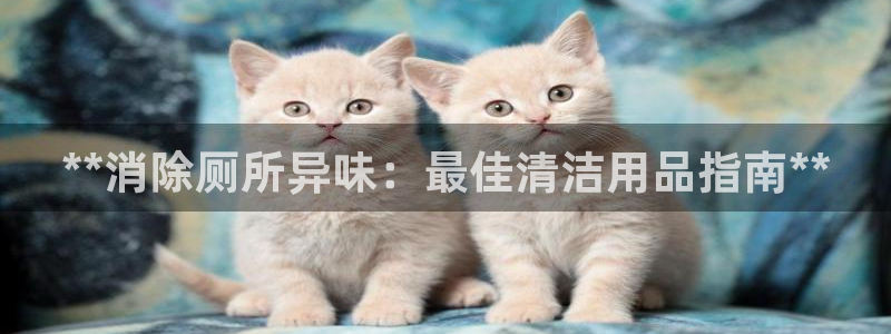 尊龙凯时家居是品牌吗