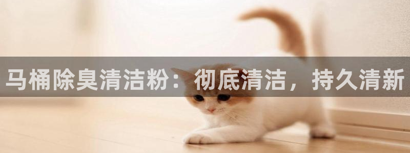 尊龙凯时干什么的