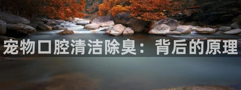 尊龙手机版