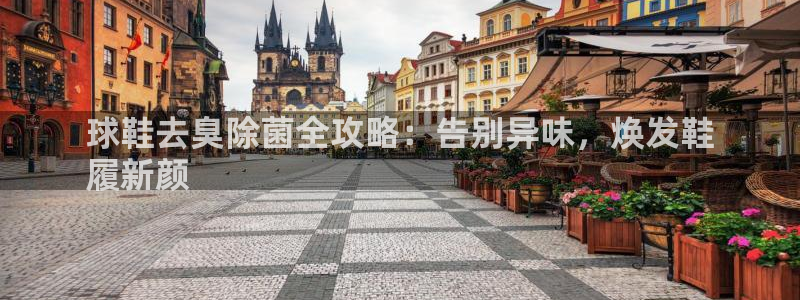 凯时国际app首页下载