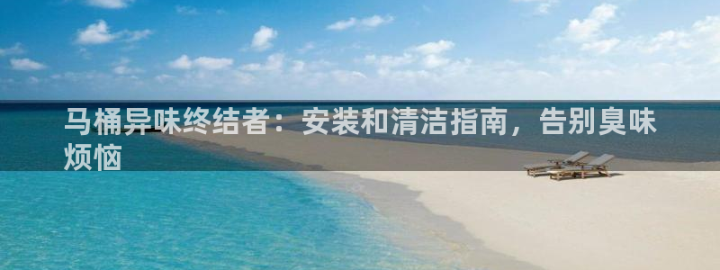 尊龙物流怎么样：马桶异味终结者：安装和清洁指南，告别臭味