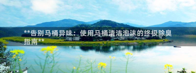 尊龙凯时白家乐：**告别马桶异味：使用马桶清洁泡沫的终极