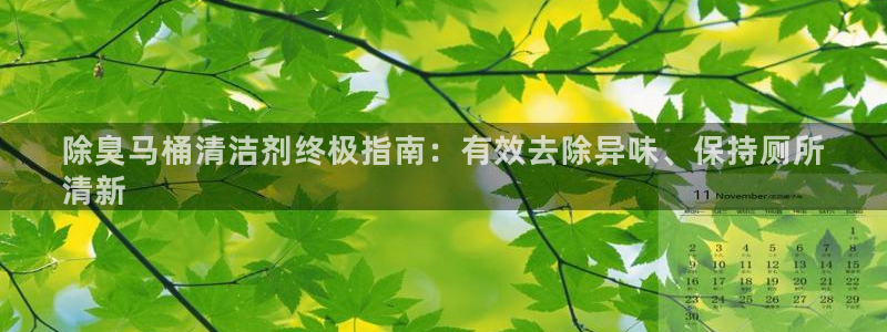 尊龙人生就是博旧版现：除臭马桶清洁剂终极指南：有效去除异
