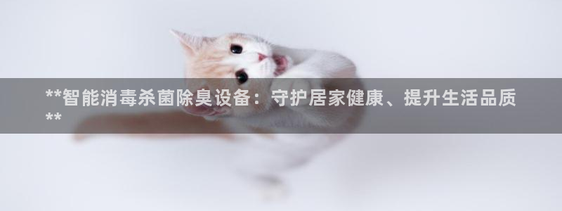 尊龙ag旗舰厅手机版