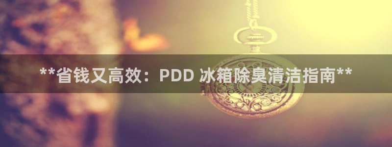 尊龙人品怎么样：**省钱又高效：PDD 冰箱除臭清洁指南