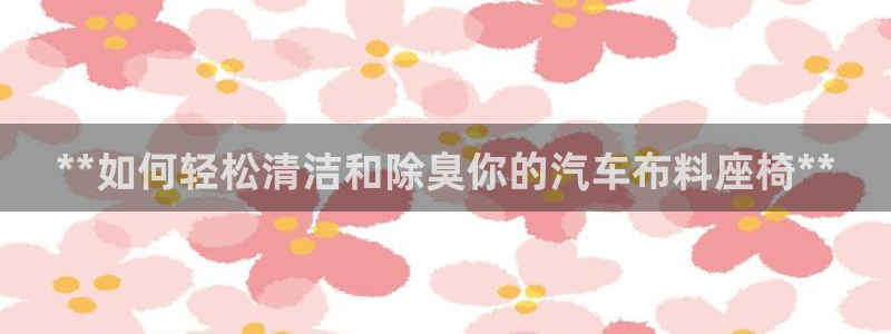 尊龙凯时人生就是搏官方网站：**如何轻松清洁和除臭你的汽