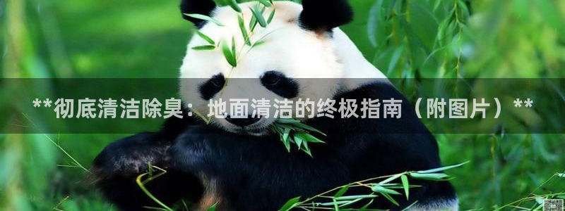 凯时k66官方发布