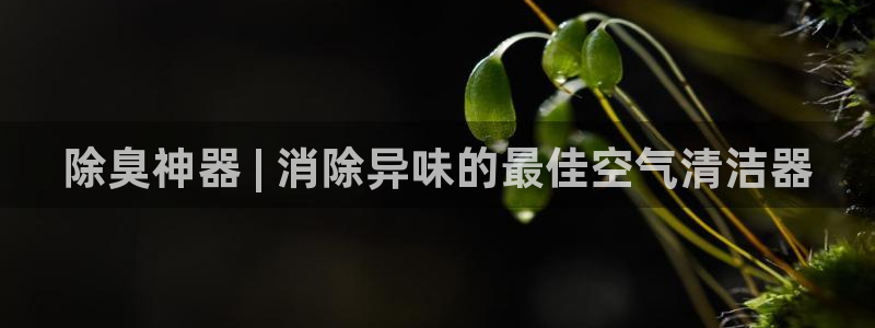 ag尊龙凯时集团：除臭神器 | 消除异味的最佳空气清洁器