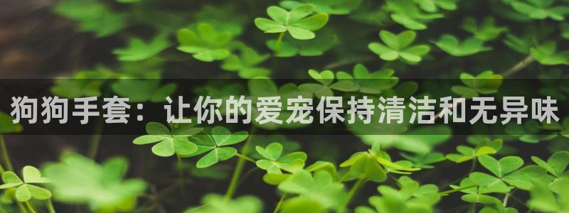 凯时在线平台官网