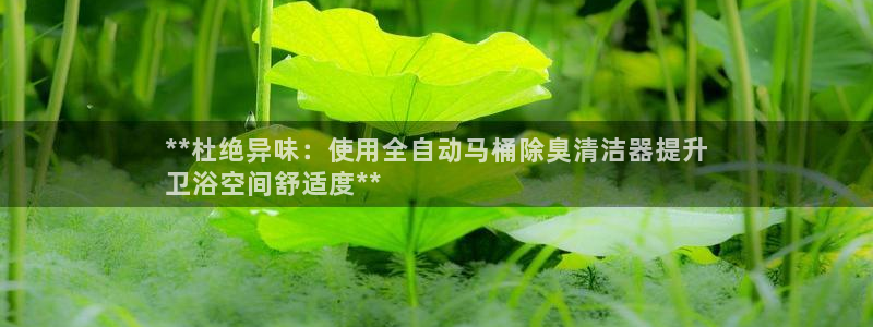 尊龙凯时人生就博官网登录：**杜绝异味：使用全自动马桶除