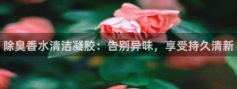 Z6尊龙老版