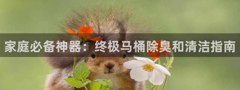 AG尊龙凯时注册：家庭必备神器：终极马桶除臭和清洁指南