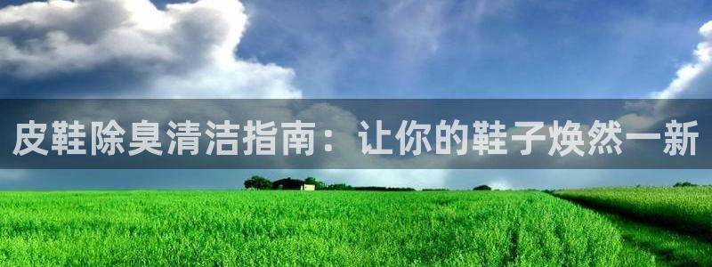 尊龙d88官网去来就送38：皮鞋除臭清洁指南：让你的鞋子