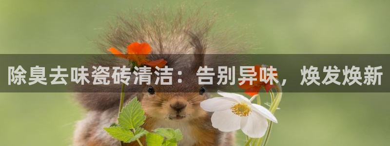 凯时k66登录：除臭去味瓷砖清洁：告别异味，焕发焕新