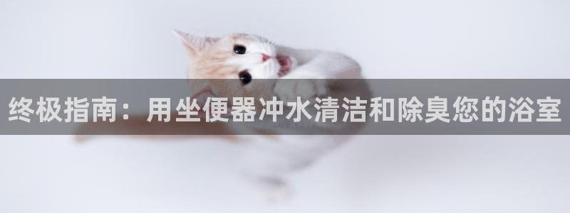 凯时最新官方APP下载