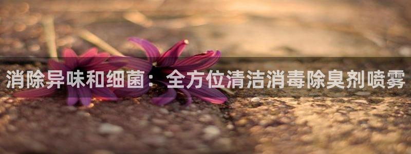 尊龙体育游戏平台：消除异味和细菌：全方位清洁消毒除臭剂喷